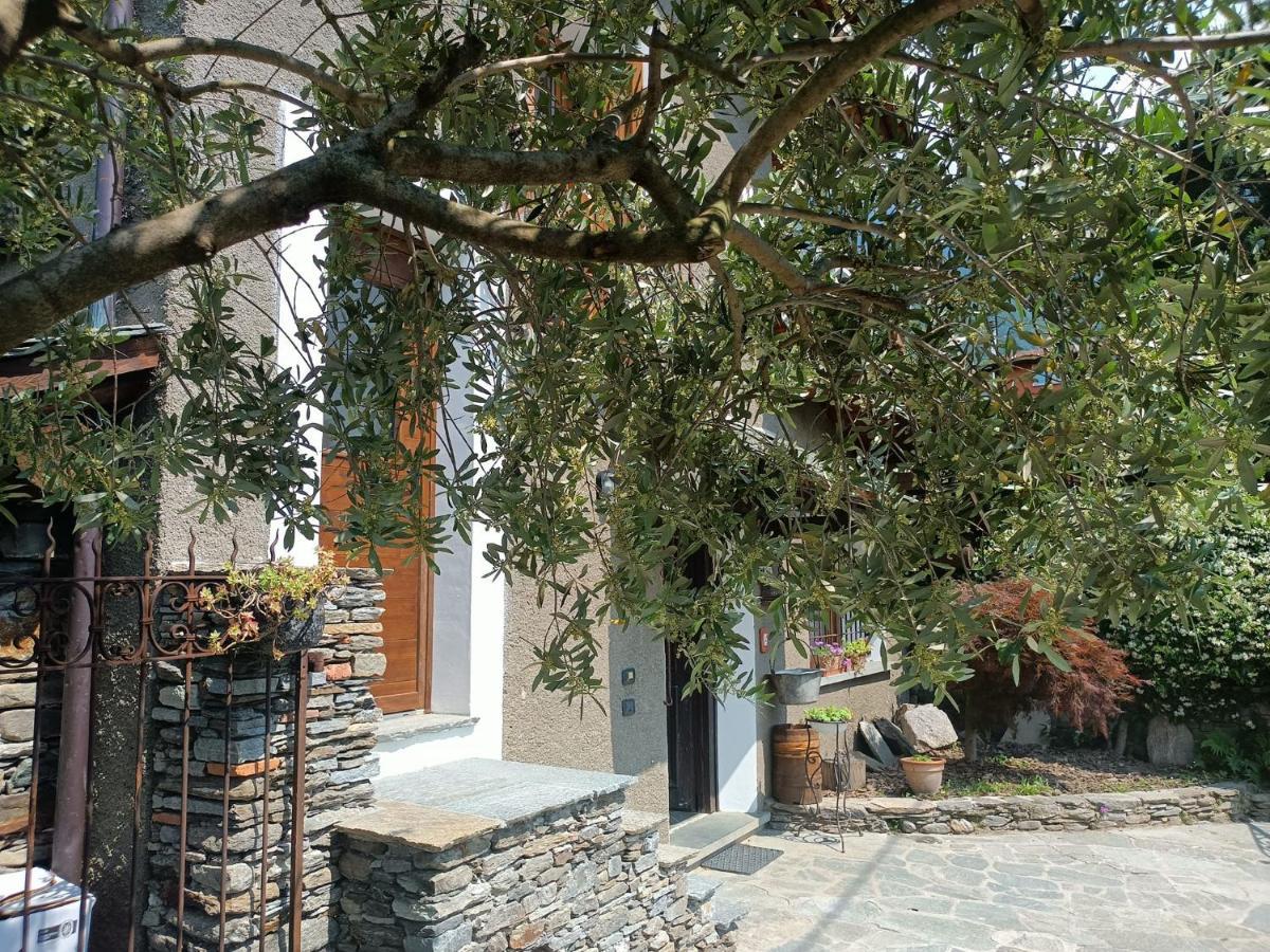 Rosina House E Chalet Colico Εξωτερικό φωτογραφία