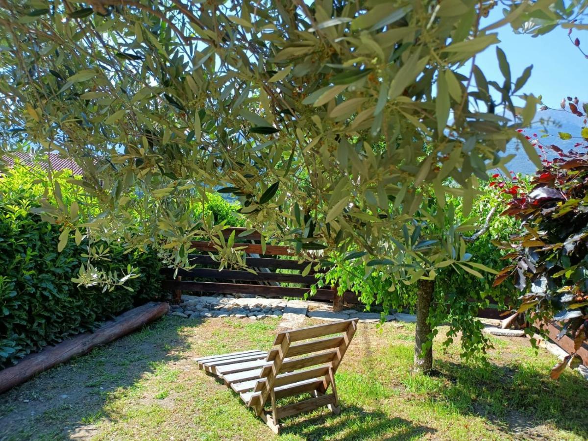 Rosina House E Chalet Colico Εξωτερικό φωτογραφία