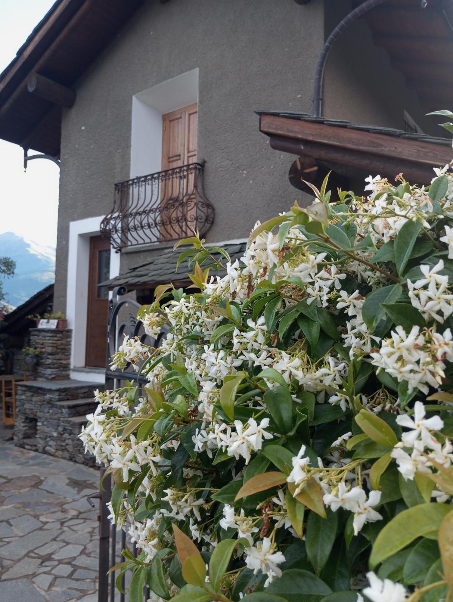 Rosina House E Chalet Colico Εξωτερικό φωτογραφία